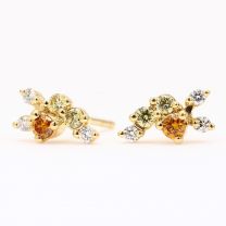 Strelitzia rainbow coloured diamond cluster stud earrings