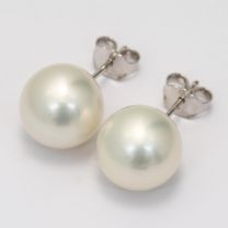 Abilene South Sea white pearl stud earrings